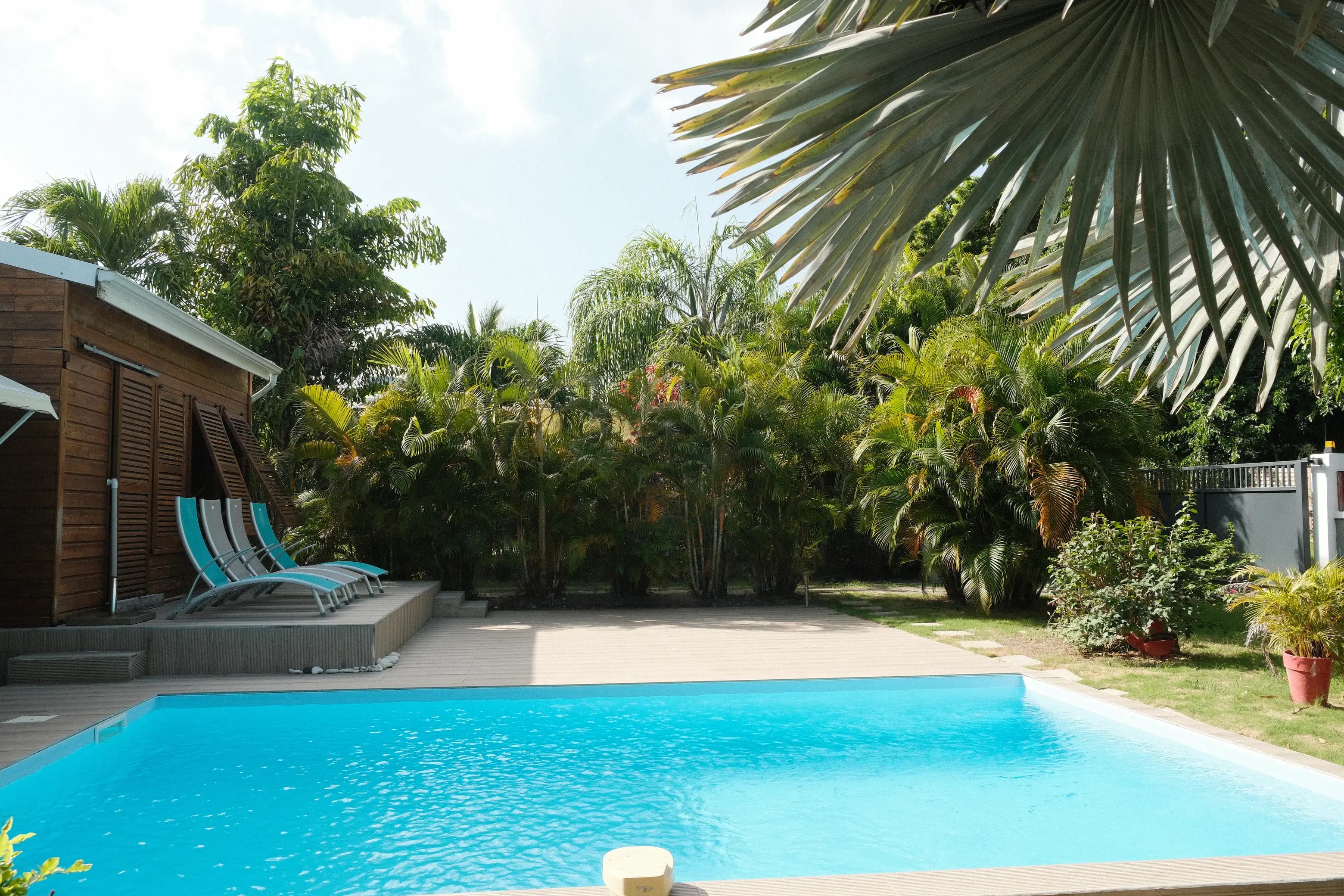 Villa Bel Arbre et sa piscine privée à Saint-François, Guadeloupe